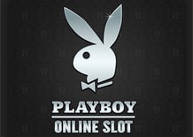 Игровые автоматы плейбой бесплатно